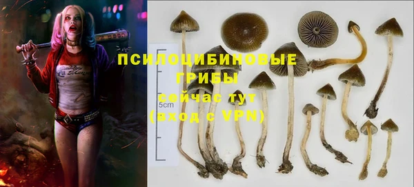 спайс Алексеевка