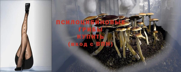 сатива Сосновый Бор